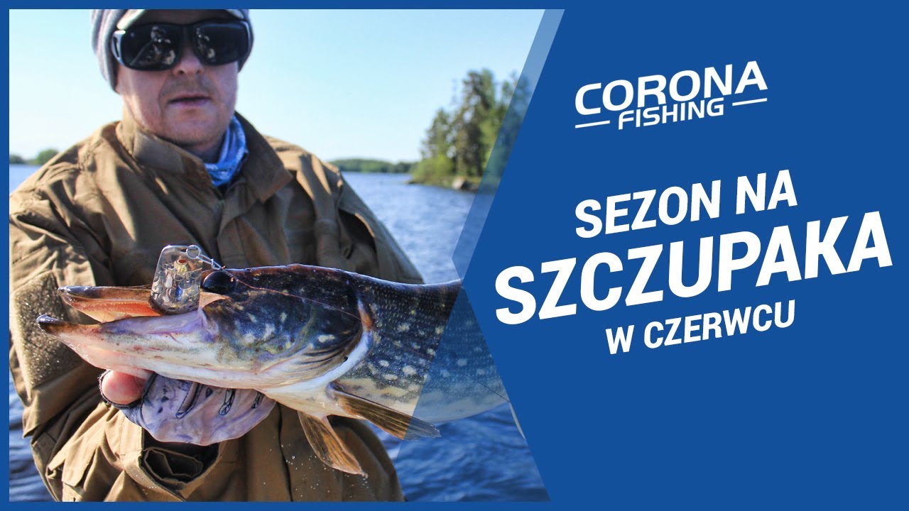 Sezon na Grube Branie #1 – Szczupak w czerwcu! Sprawdź, co mam w torbie