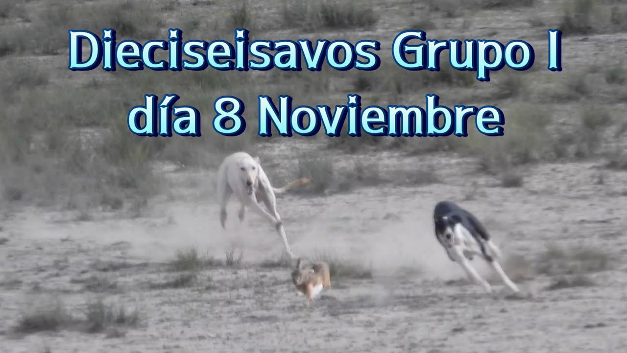Primeras 8 colleras de dieciseisavos Grupo I Albacete, viernes 8 Noviembre 2024