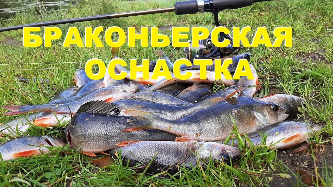 Отводной поводок.ЭТА ОСНАСТКА МЕНЯ УДИВЛЯЕТ.ОНА ЛОВИТ ВСЁ.