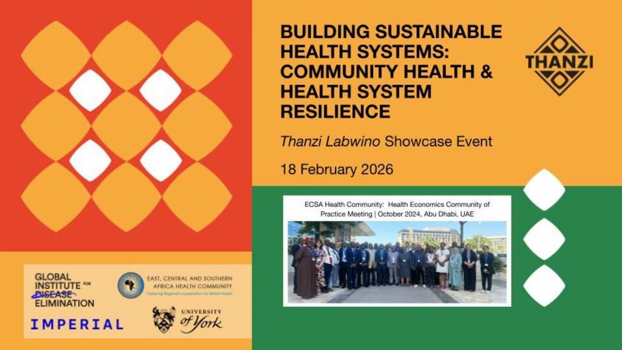 Thanzi Labwino | Building Sustainable Health Systems: Community Health and Health System Resilience