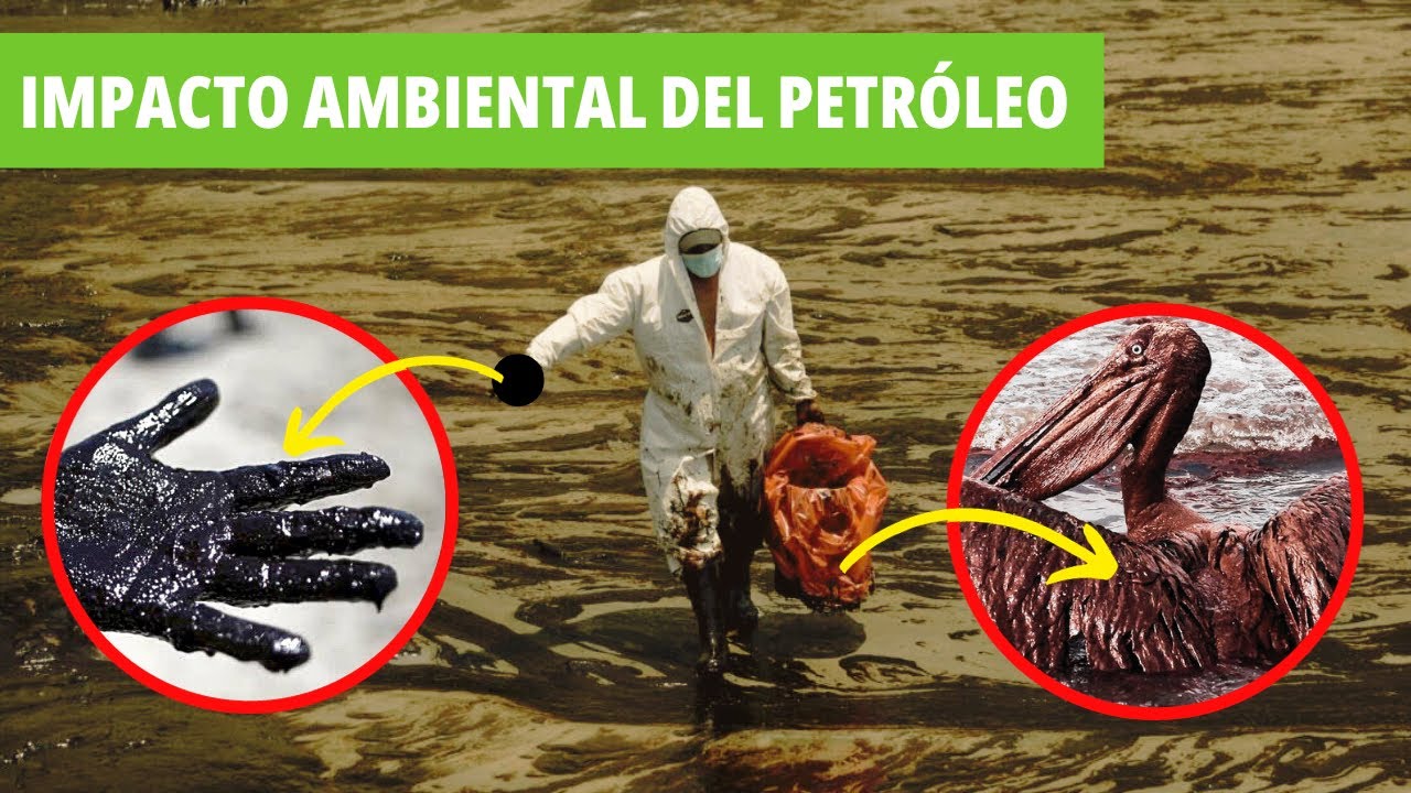 Impacto AMBIENTAL del PETRÓLEO - Causas, Consecuencias y Posibles Soluciones