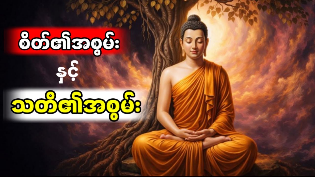 ဘဝကိုပြောင်းလဲစေမည့် စိတ်နှင့်သတိ၏စွမ်းပကား - သစ္စာရွှေစည်ဆရာတော်