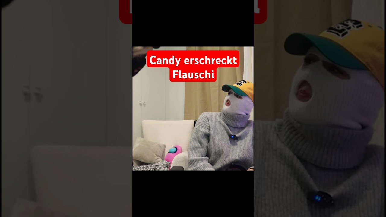 Candy erschreckt Flauschi (IRL) | #shorts #short