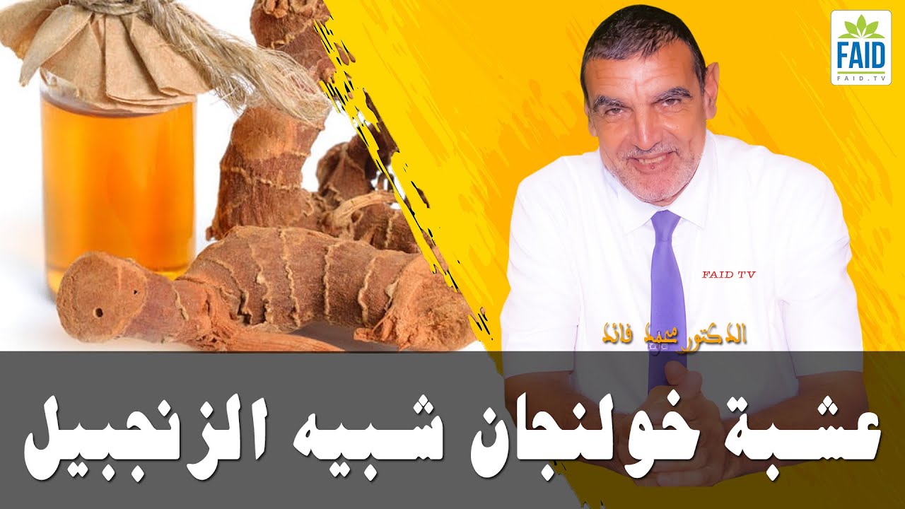 كيف تستخدم عشبة خولنجان شبيه الزنجبيل في الطب التقليدي؟ | الدكتور الفايد