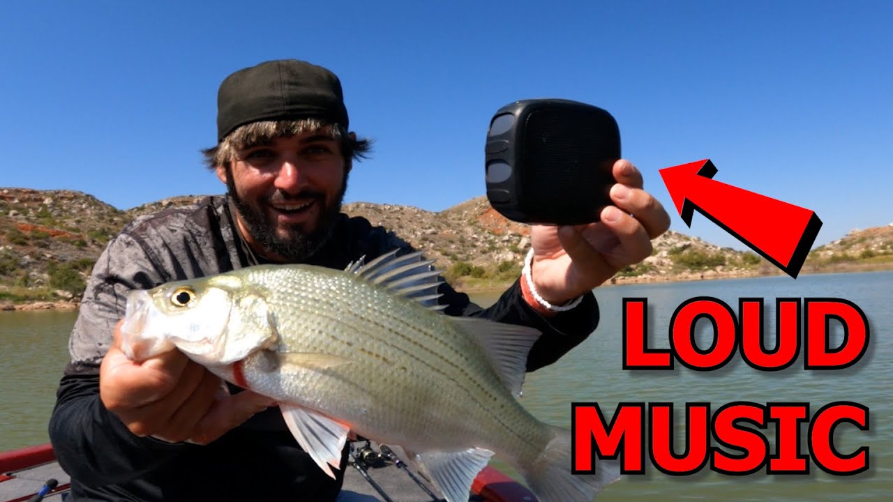 DEBUNKING FISHING MYTHS (DOES LOUD MUSIC SCARE AWAY FISH??)
