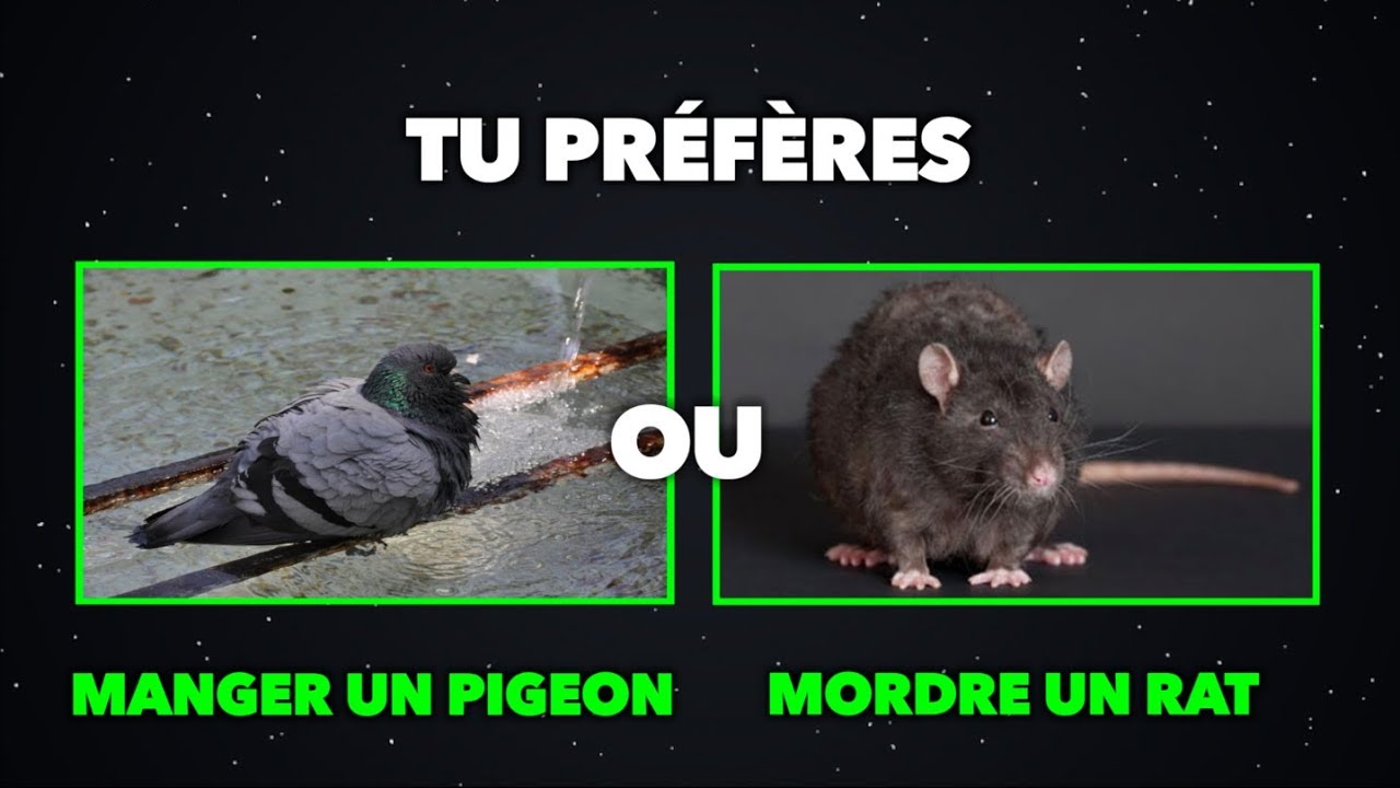 LES DILEMMES LES PLUS DIFFICILES AU MONDE ! part 7