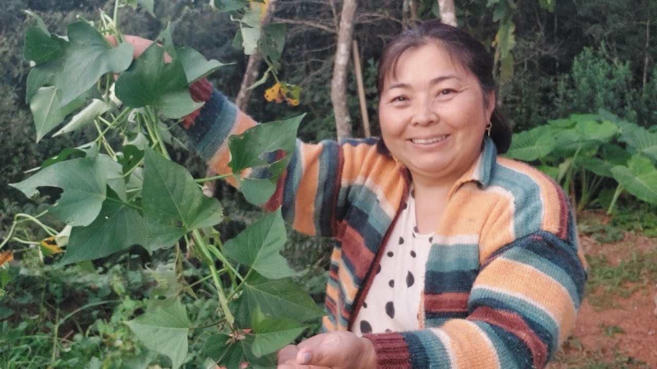 Fiz folhas de batata doce pro almoço à moda japonesa