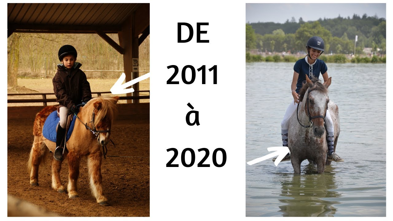 De 2011 à 2020 : mes années d'équitation