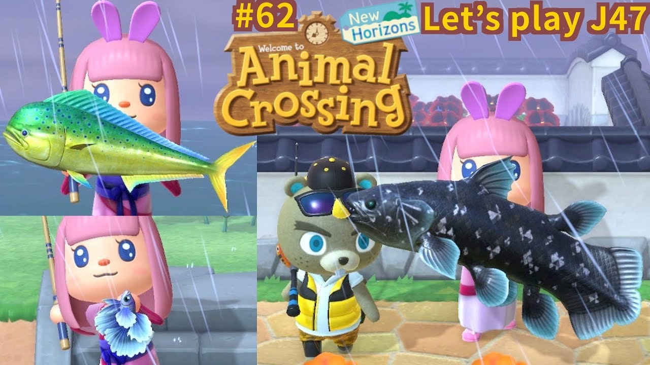 Jour 47 Pollux Coelacanthe = 22500 clochettes Coryphène Combattant Animal Crossing New Horizons #62