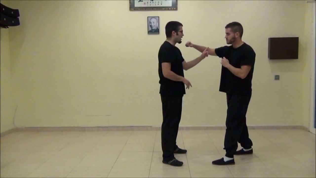 Wing Chun - Siu Nim Tao: Tan sao