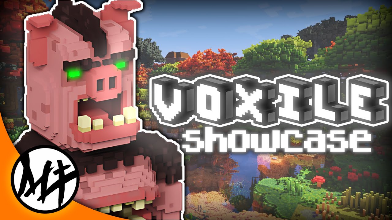 It's NOT Just A Minecraft Shooter, Voxile is different!