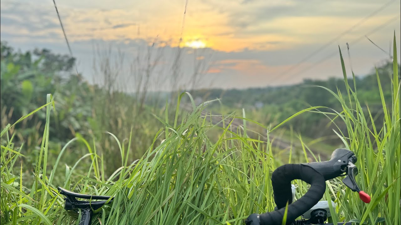 NgabubuRide Day#18. Terowongan Ijo. #roadbike #gianttcr #ngabuburide #terowonganijo #gowesbareng 