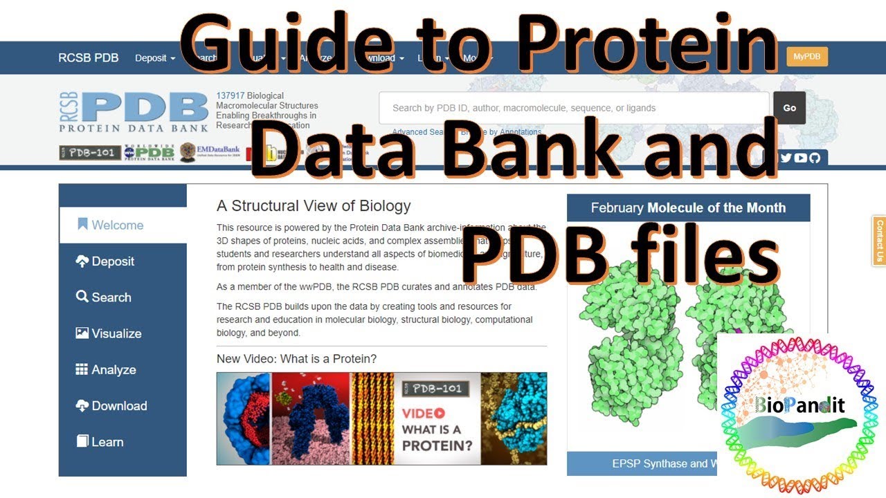 Basic Guide to Protein Data Bank and PDB files