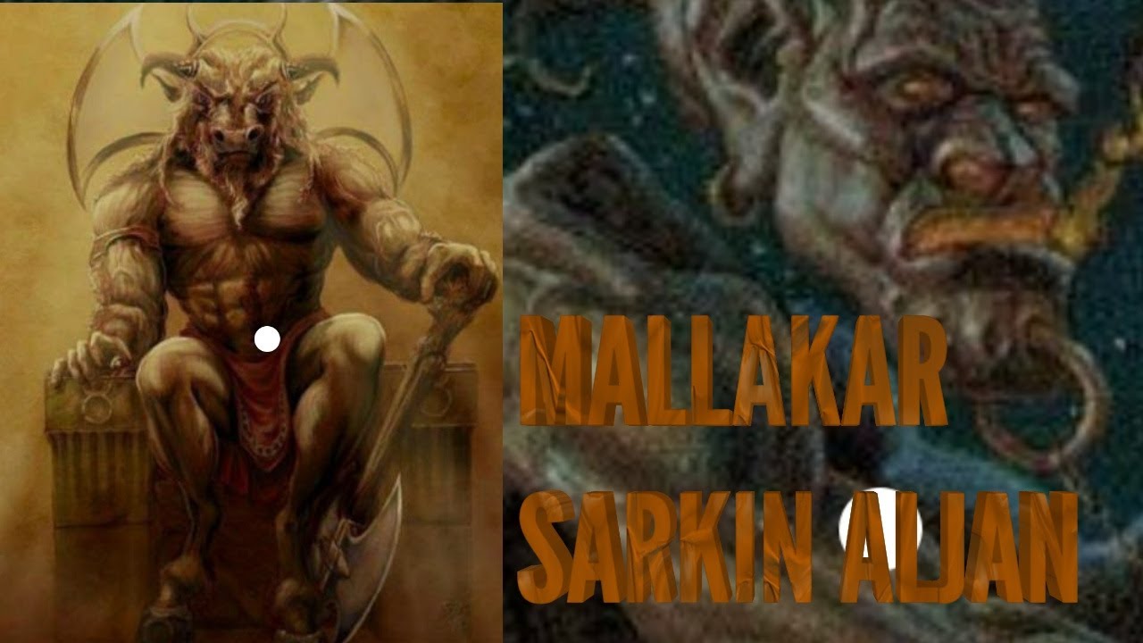 YADDA ZAKA KIRA ALJANI KA SASHI AIKI