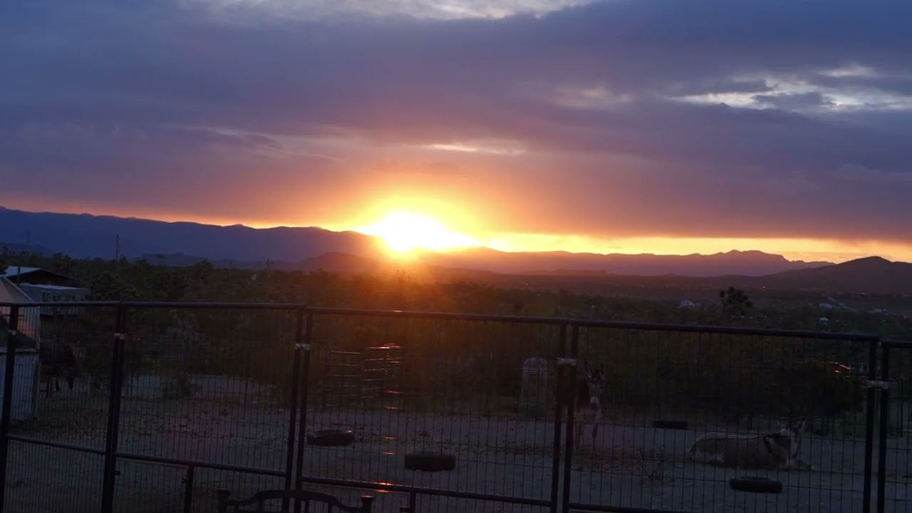 Sunrise Serenity