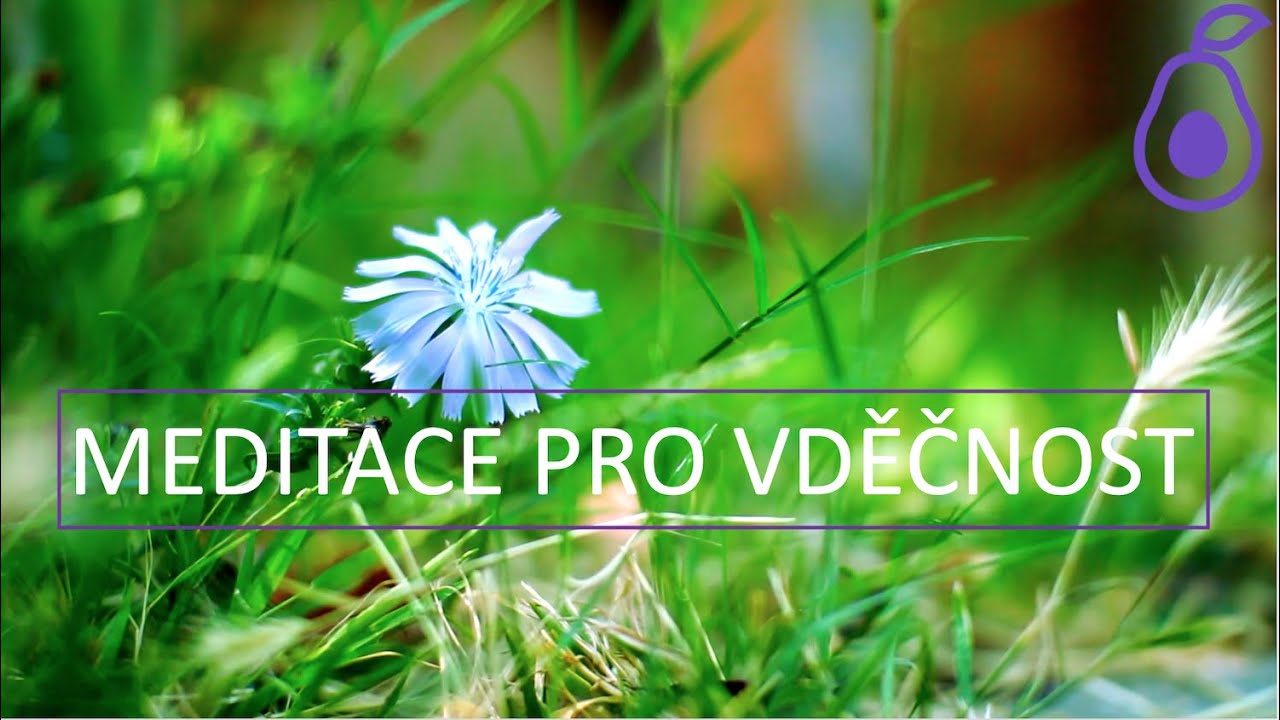 Meditace pro vděčnost | 7 min