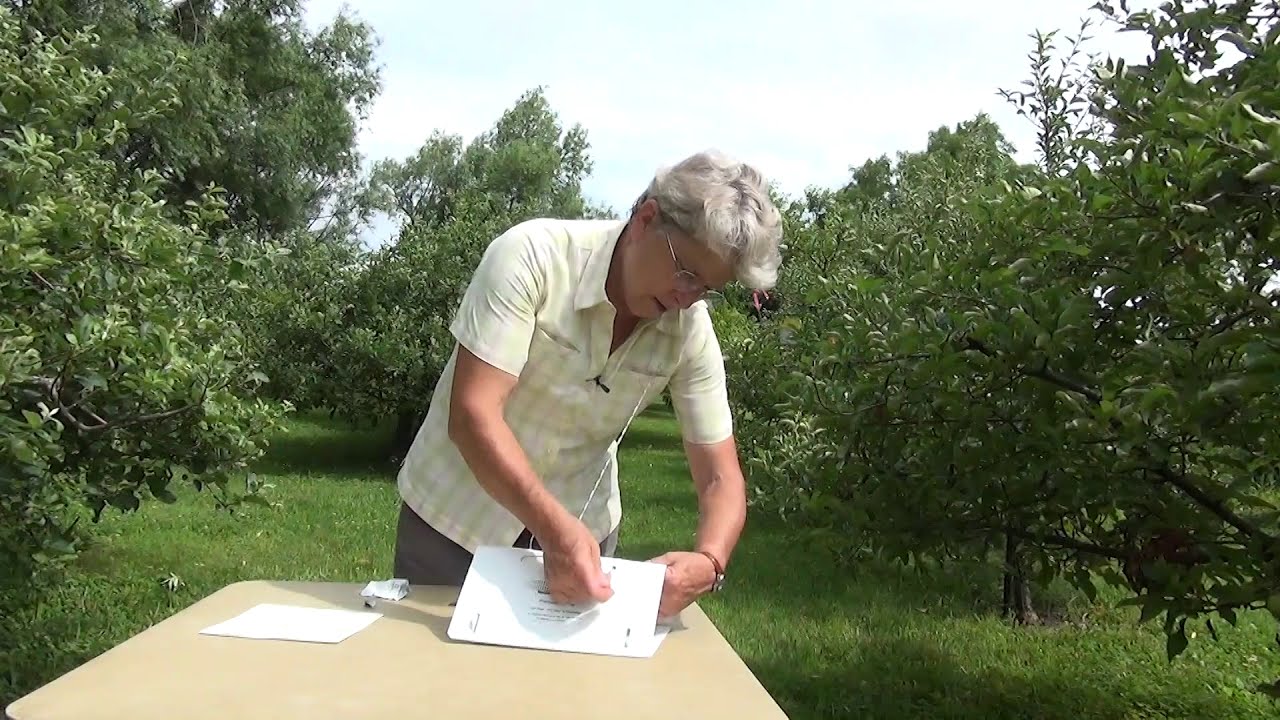 5   How to Assemble a Delta Trap