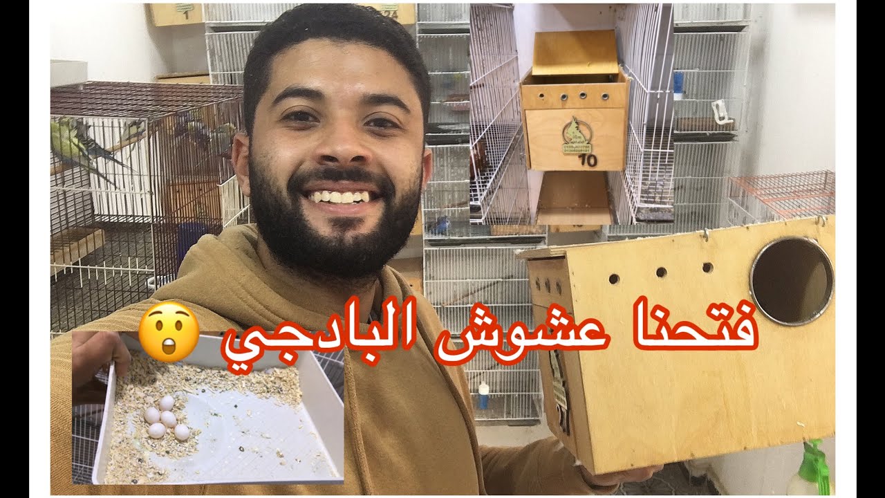 فتحت عشوش البادجي تعالوا نشوف لقيت ايه😳😳#الرينبو #طفرات_البادجي