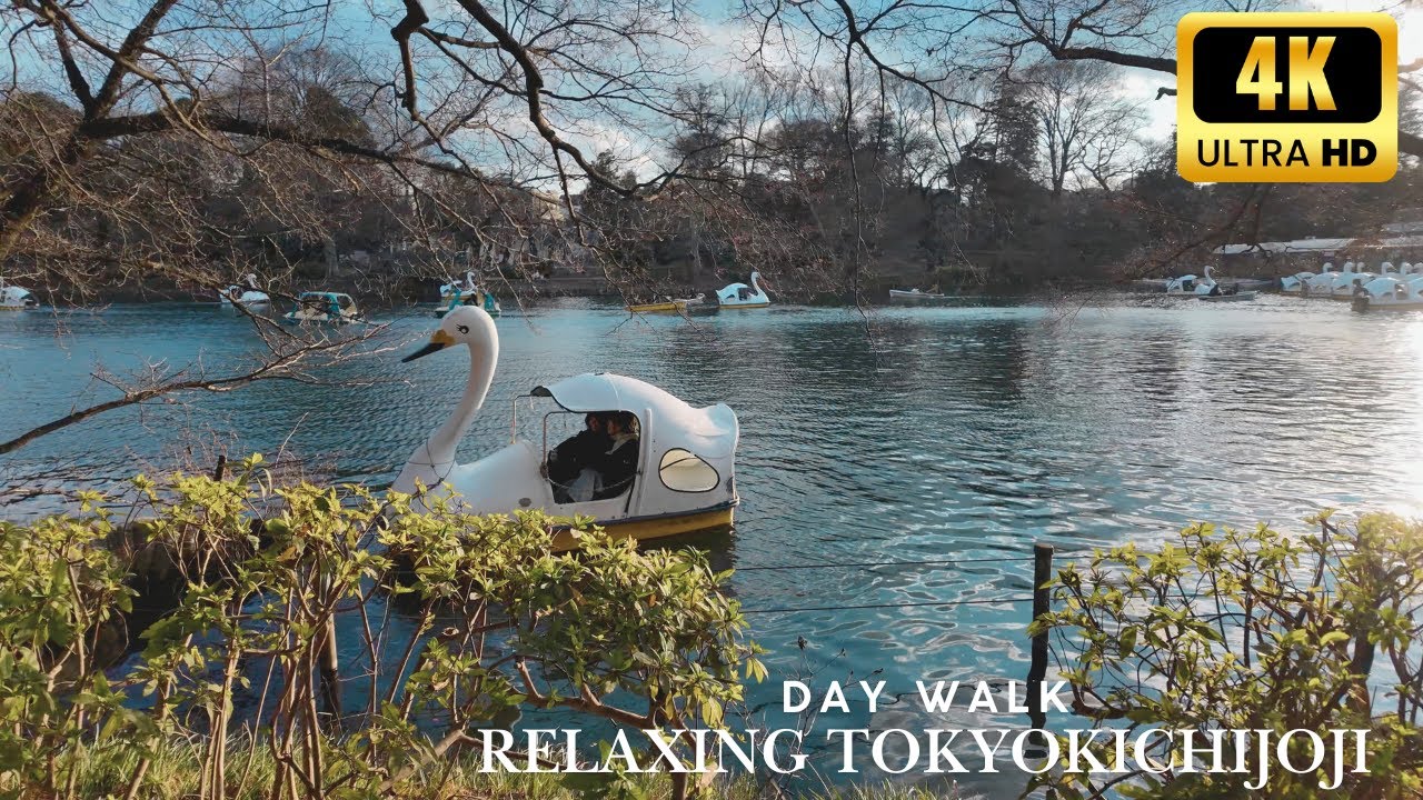 【4K】Tokyo Kichijoji | POV Casual City Walk: Most Popular Town & Inokashira Park (Day)