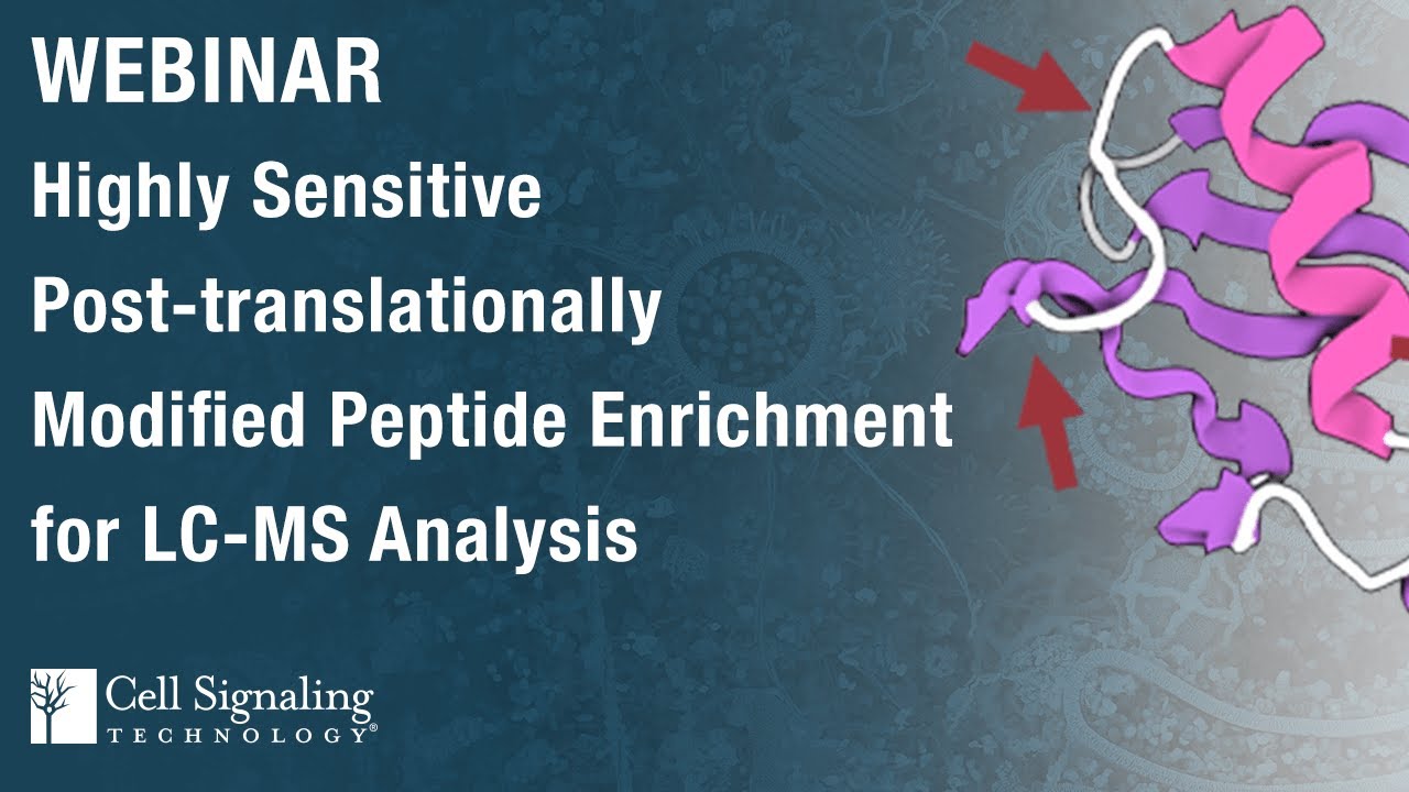 Highly Sensitive, Post-translationally Modified Peptide Enrichment for LC-MS Analysis