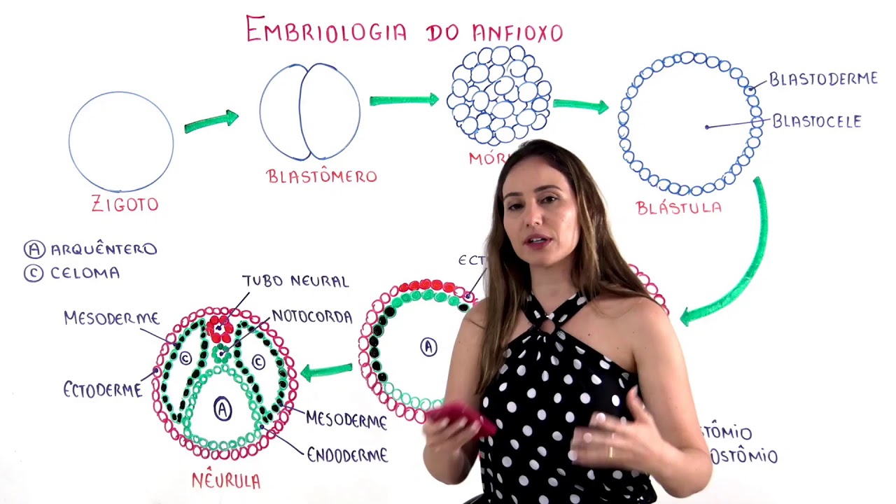 AO VIVO | A polêmica por tras da célula tronco embrionária | BIOATP e PreOnline