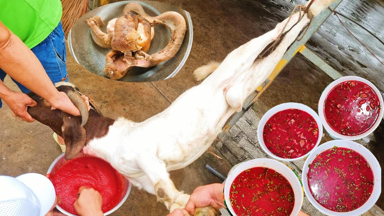 Thịt Dê Cụ lấy được bộ lòng dài chưa từng thấy / Tiết Canh Ngựa Bạch | Lối Về Làng TV!