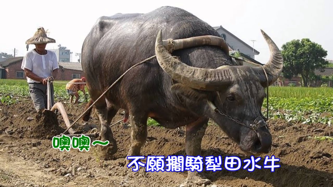 田庄兄哥(陳一郎版)－伴奏（立體聲）