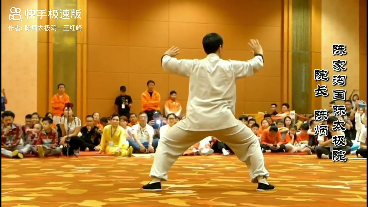 Chen Shi TaiJiQuan XinJia Chen Bing 陈式太极拳 新架 陈炳老师 진식태극권 신가 진병노사