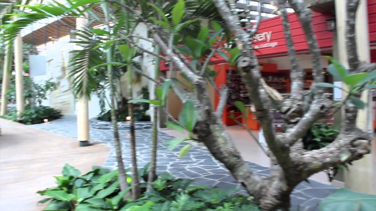 Avis Center parcs bois aux daims - Avis Center parcs Vienne - Toboggan Aquatique