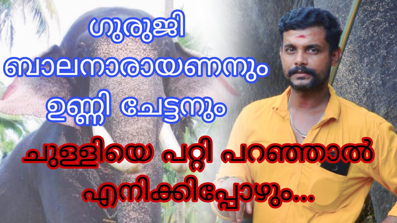വരുംകാല കണ്ടമ്പുള്ളിയായി മാറും,ഗുരുജി ബാലനാരായണൻ #balanarayanan#guruji#chulliparambilvishnushankar.