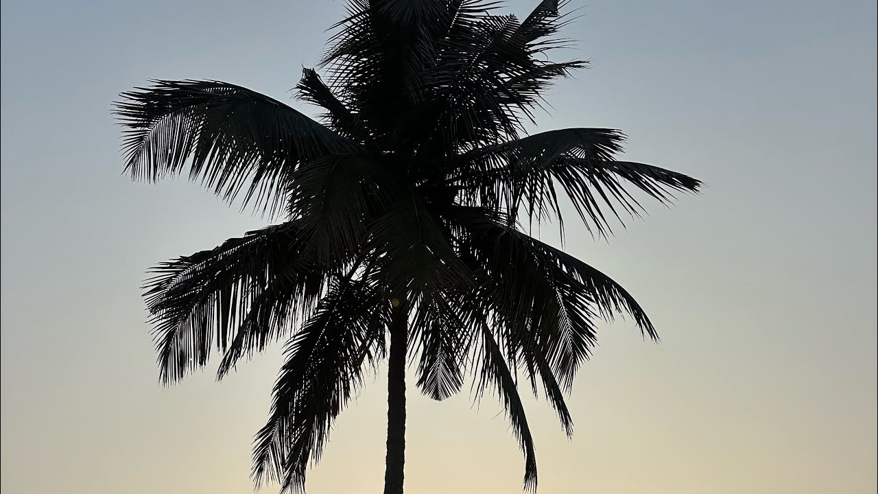 My Hometown Vlog | Real Life in Mangalore 🌴