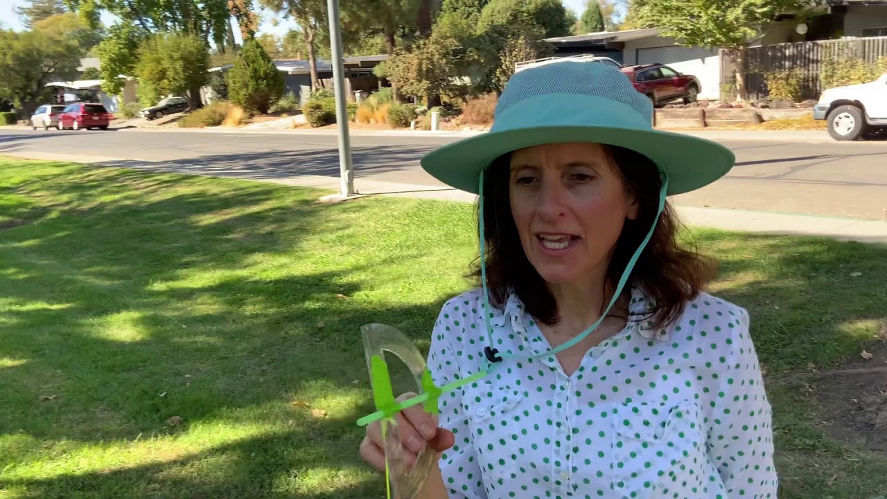 Measuring tree height with a protractor clinometer