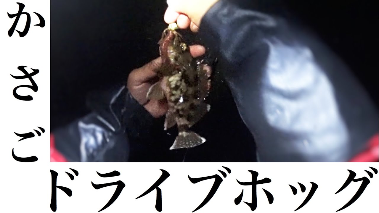 【O.S.P】DoliveHog 2.5