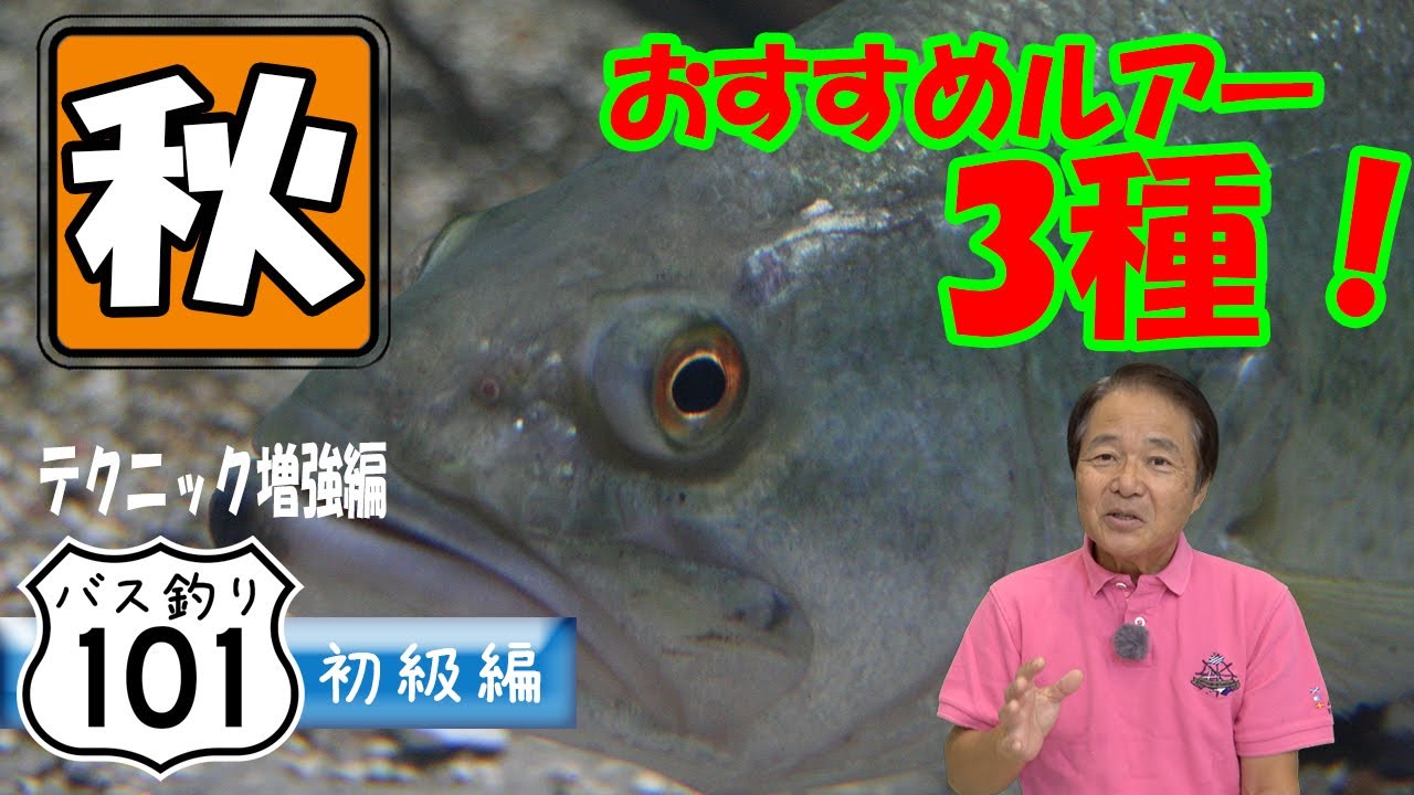 【ヒロ内藤流バス釣り】秋バスに学ぶテクニック！秋のおすすめルアー３種【バス釣り101 初心者】