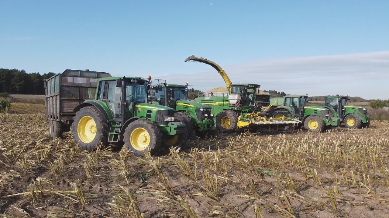 Kiszonka z kukurydzy 2020 5xJohn Deere (7450i,7920,7530,6190R,6430) JCB Case