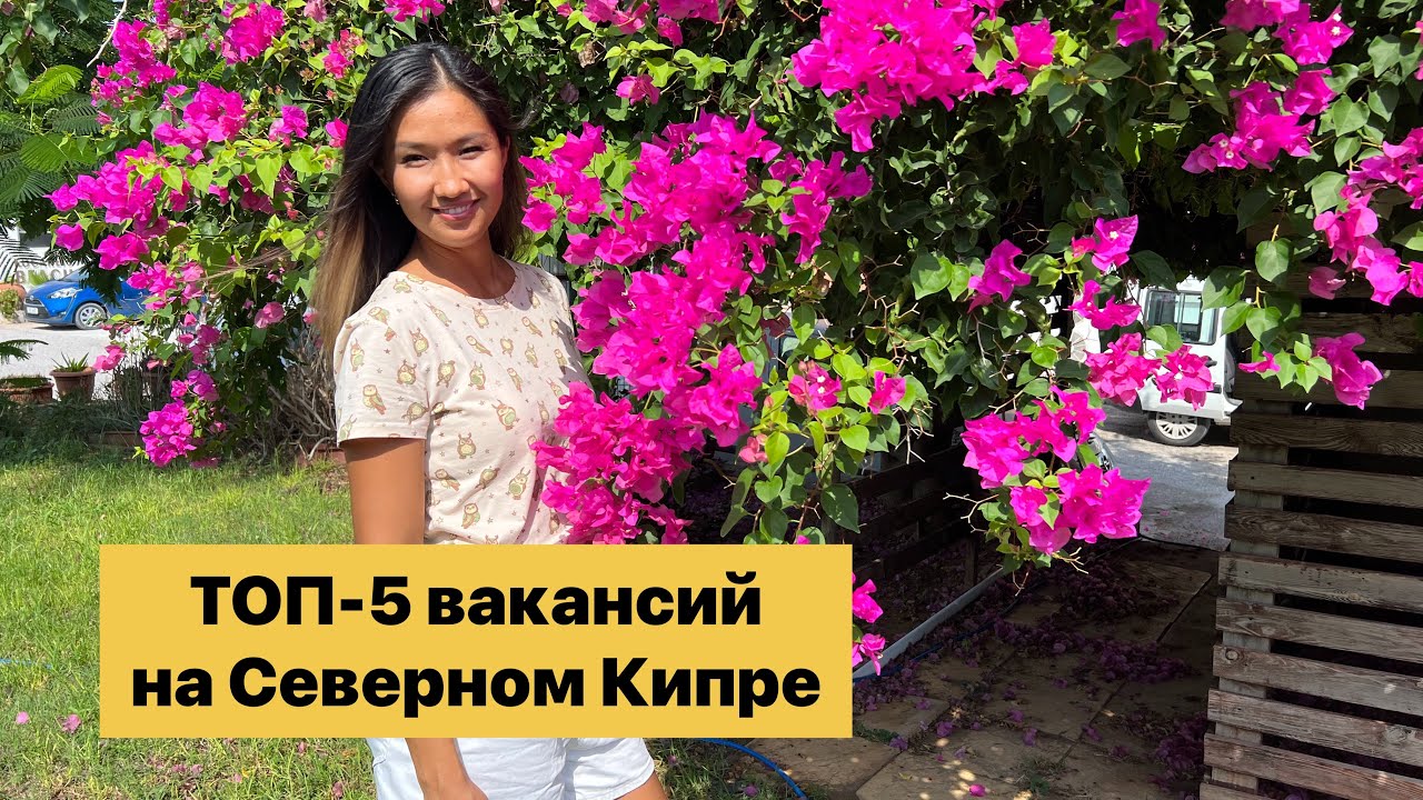 Работа на Северном Кипре | Куда устроиться на работу после переезда?