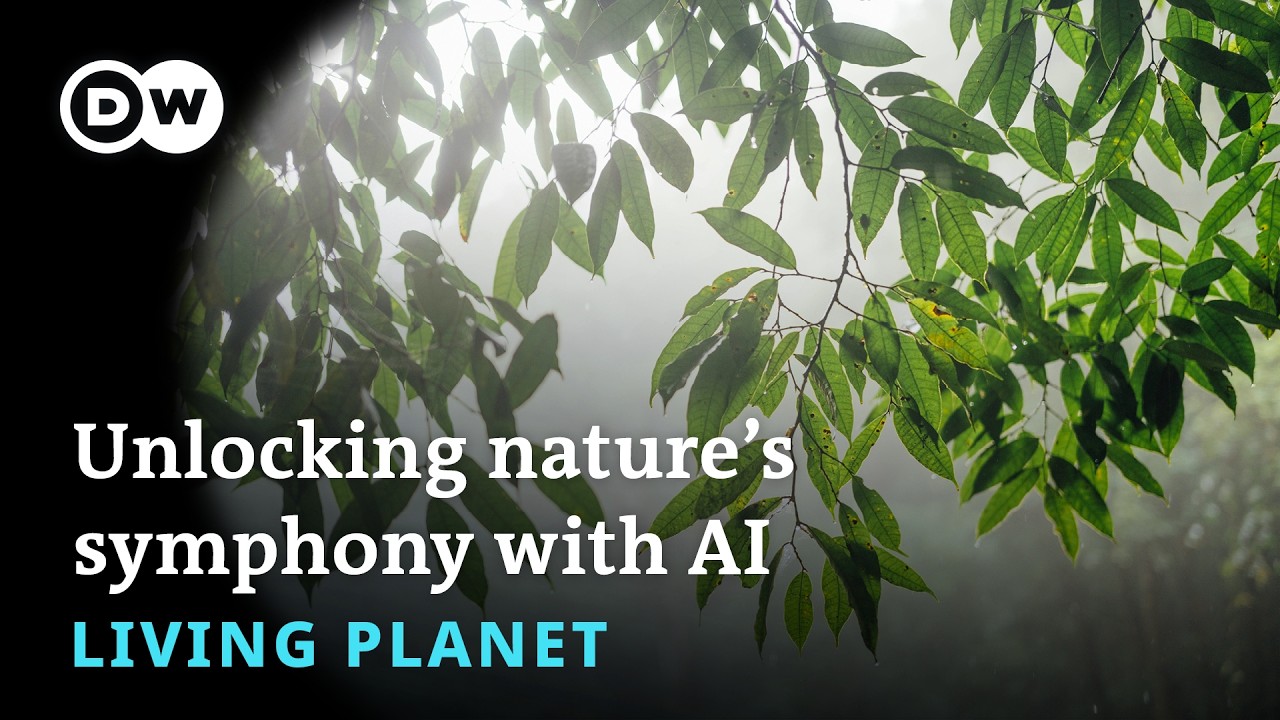 Unlocking nature’s symphony with AI - Living Planet Podcast
