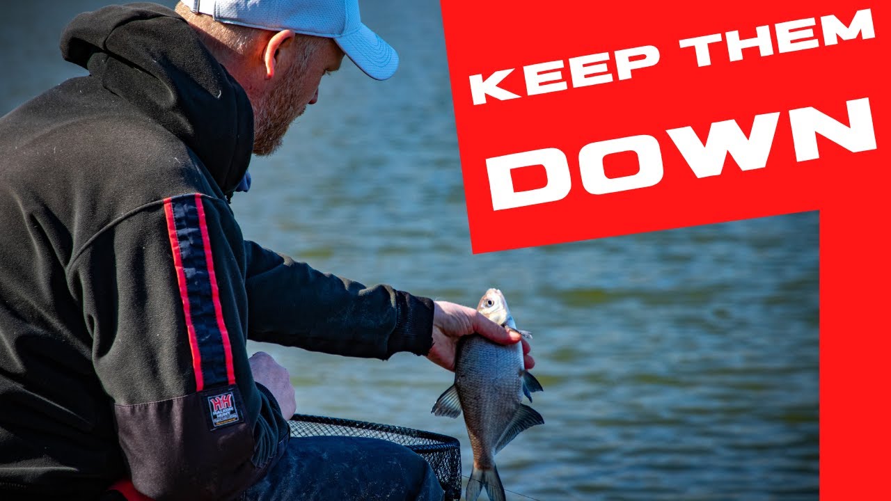 ROACH FISHING GROUNDBAIT - TWO MIXES, TWO RESULTS - Rob Wootton.