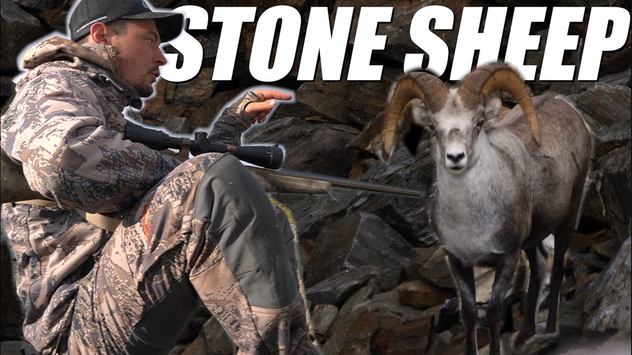 STONE SHEEP HUNTING | CASSIAR MOUNTAINS | BRITISH COLUMBIA | S1 | E25 | ALPINE CARNIVORE