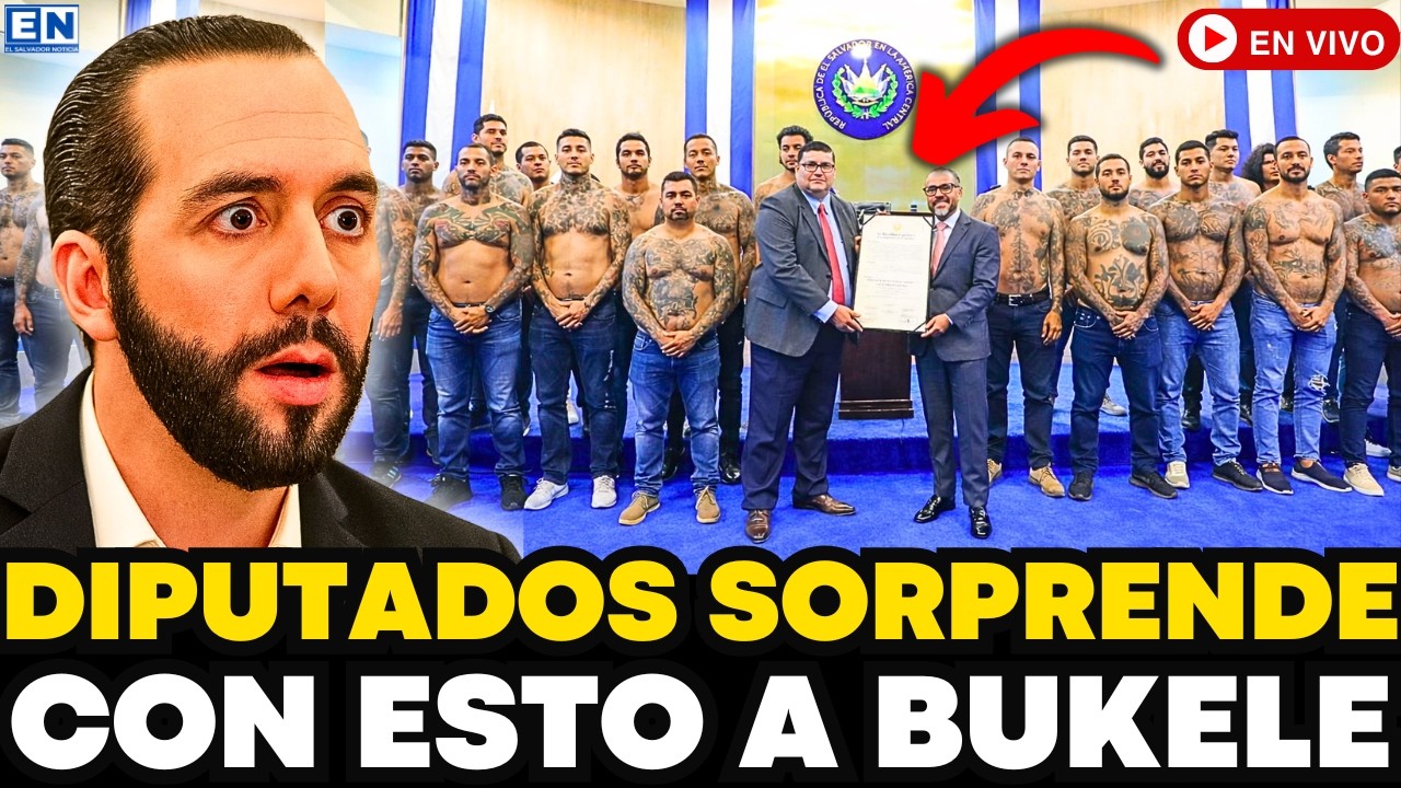 DIPUTADOS SORPRENDE CON ESTO A LOS SALVADOREÑOS BUKELE NO LO ESPERABA EL SALVADOR NOTICIA