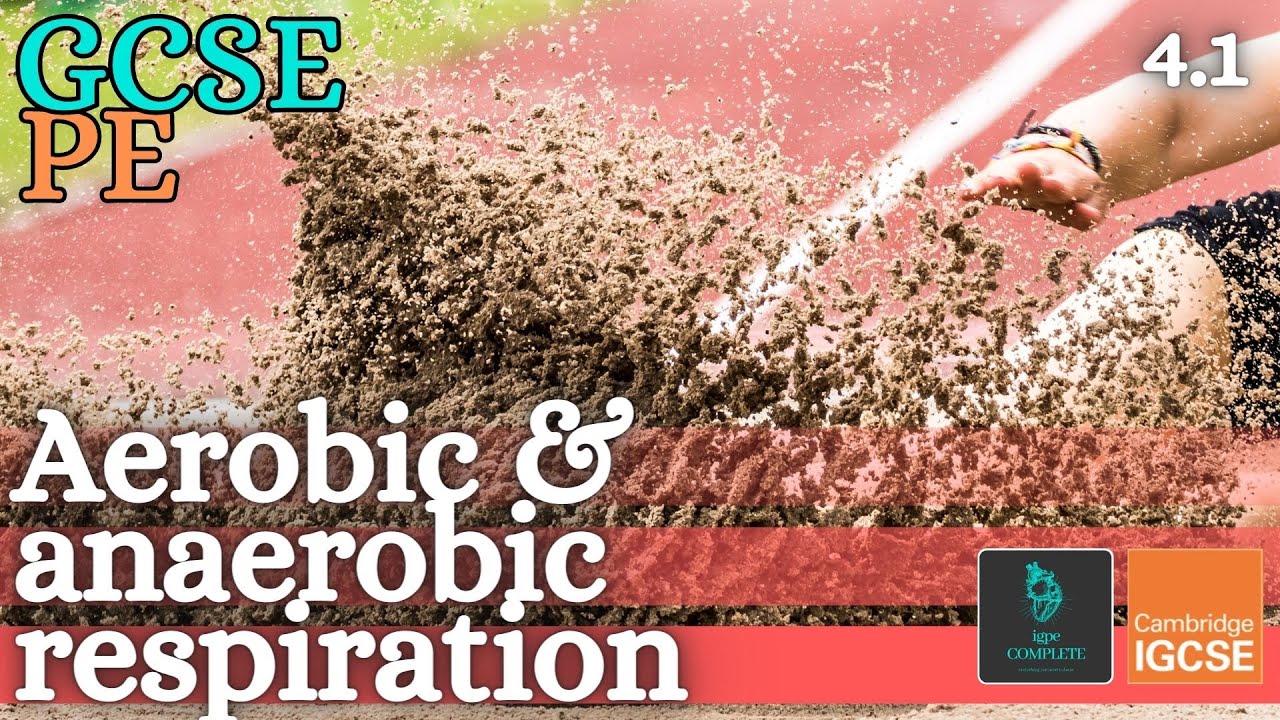 GCSE PE - AEROBIC & ANAEROBIC RESPIRATION - Anatomy and Physiology (Energy & Exercise Effects - 4.1)