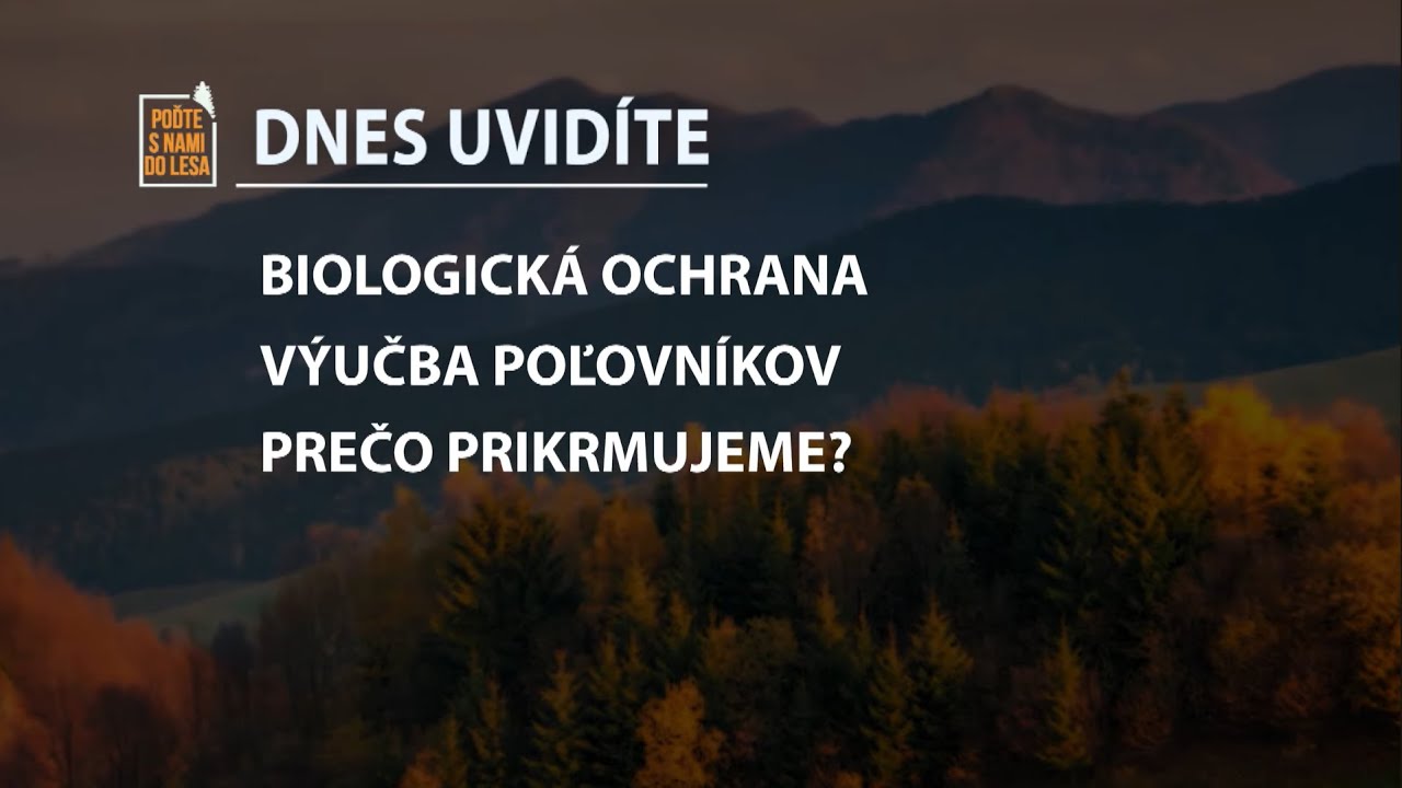 Poďte s nami do lesa 22/2025