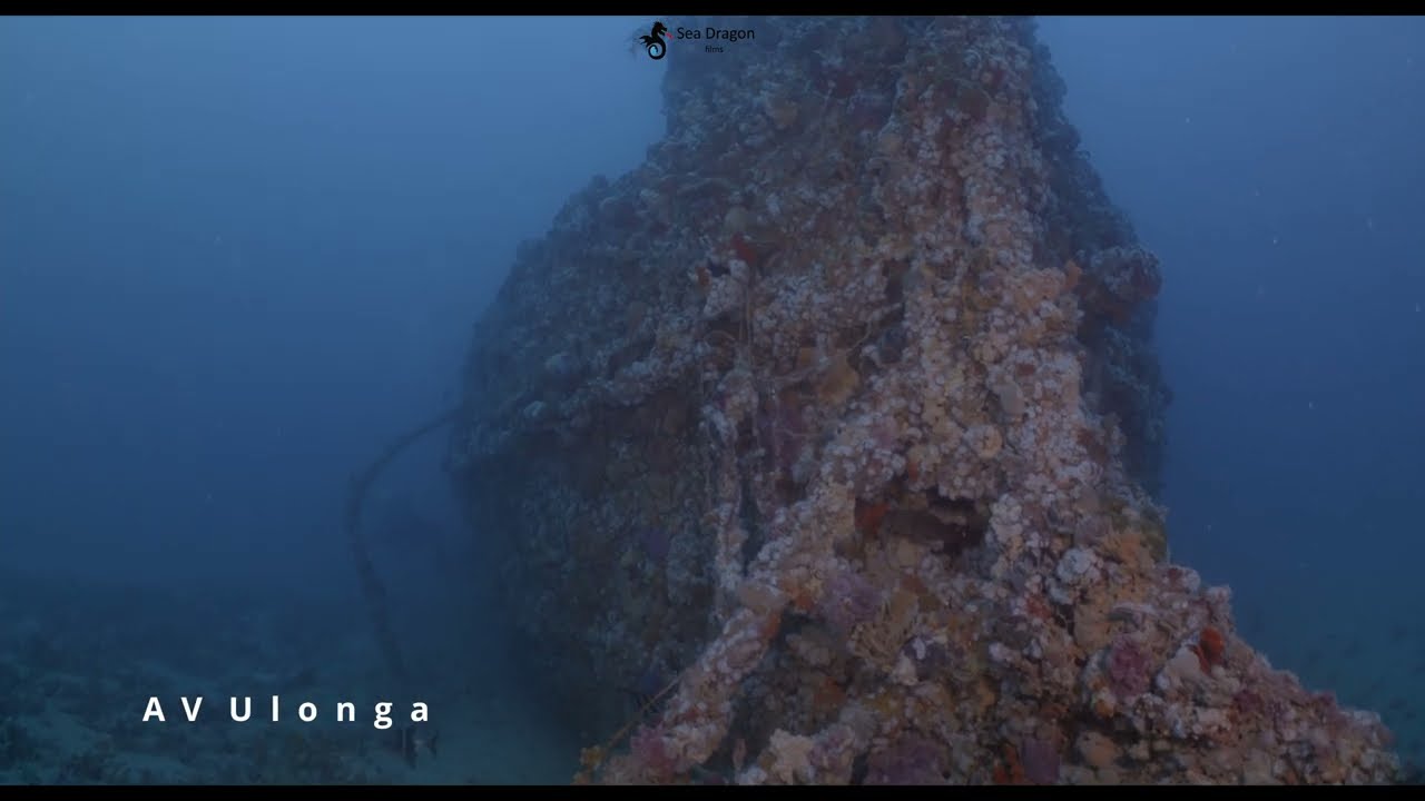 Underwater Shipwreck The AV Ulonga 4k