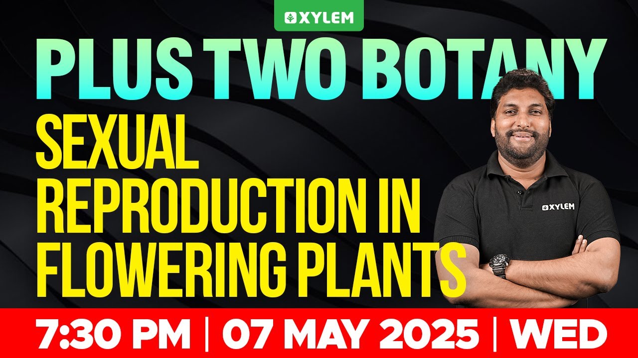 Plus Two Botany | Sexual Reproduction In Flowering Plants | Xylem Plus One