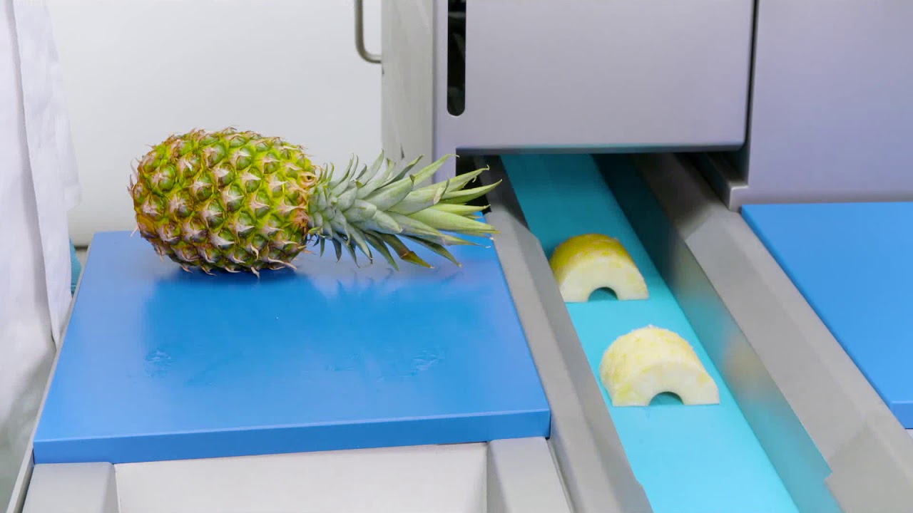 GS10-2 Belt cutter: Segmenting fruit, slicing and more