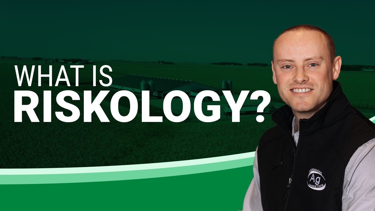 What is Riskology?