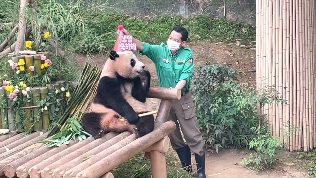 푸뚠뚜나 오늘 너 생일이야