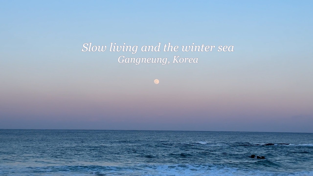 [주문진 (강릉) 겨울 여행 minivlog] Jumunjin (Gangneung) winter minivlog