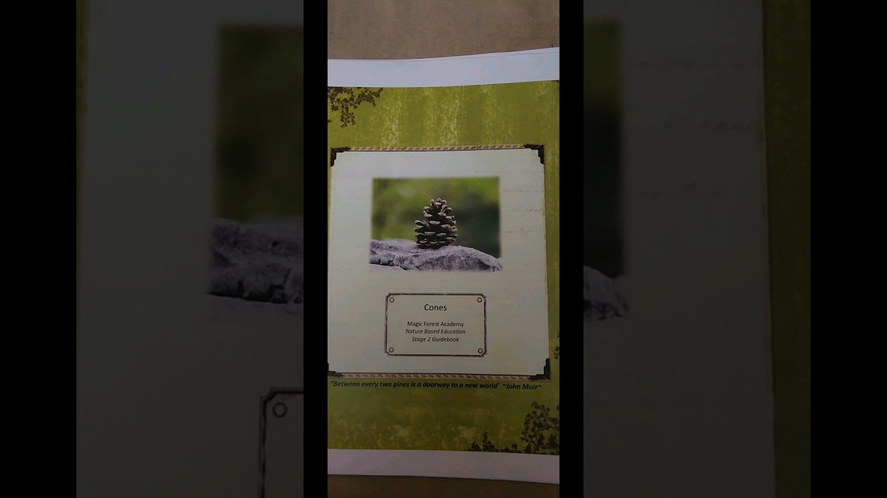 Conifer Mini Unit Study Flip Through from Magic Forest Academy