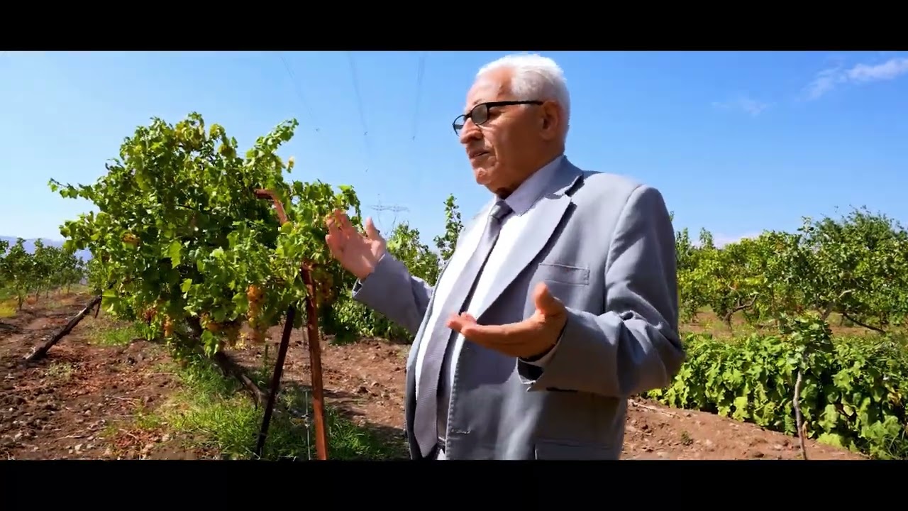Necati Işıktaş - Oy Dalal